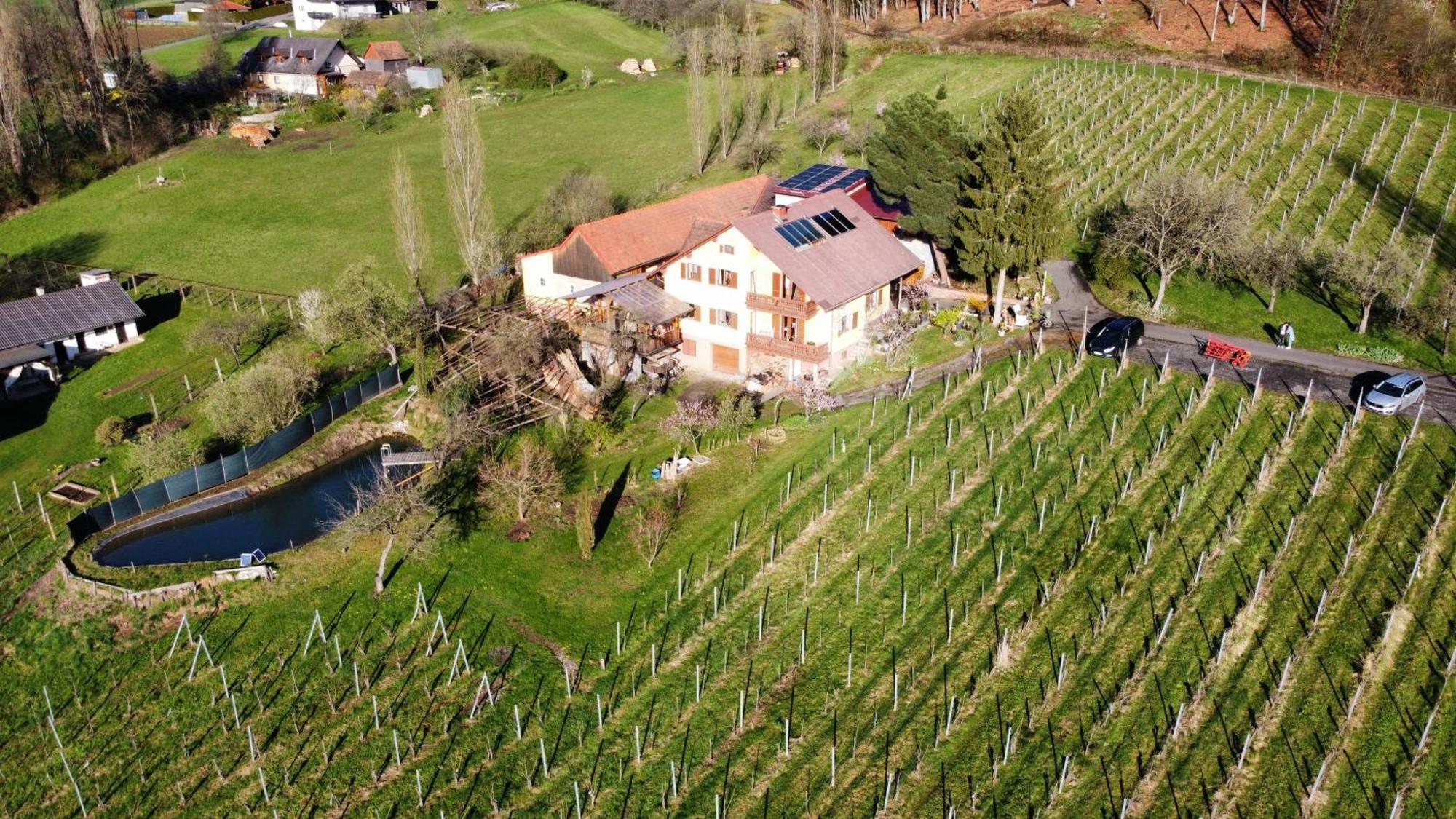 Appartement Weingut Schoberhof Bad Gleichenberg Exterior photo