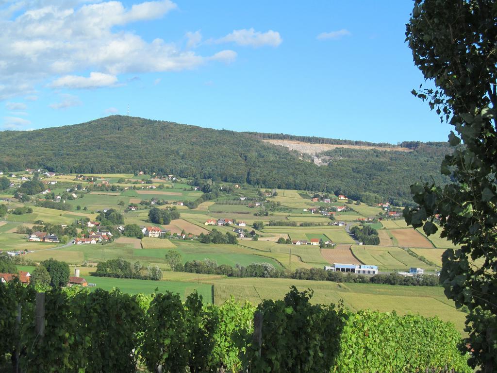 Appartement Weingut Schoberhof Bad Gleichenberg Room photo
