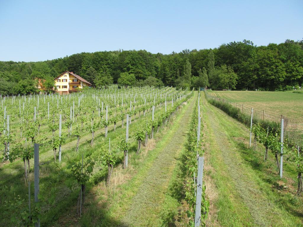 Appartement Weingut Schoberhof Bad Gleichenberg Room photo