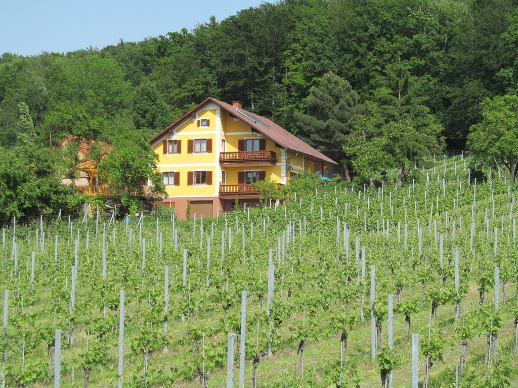 Appartement Weingut Schoberhof Bad Gleichenberg Room photo