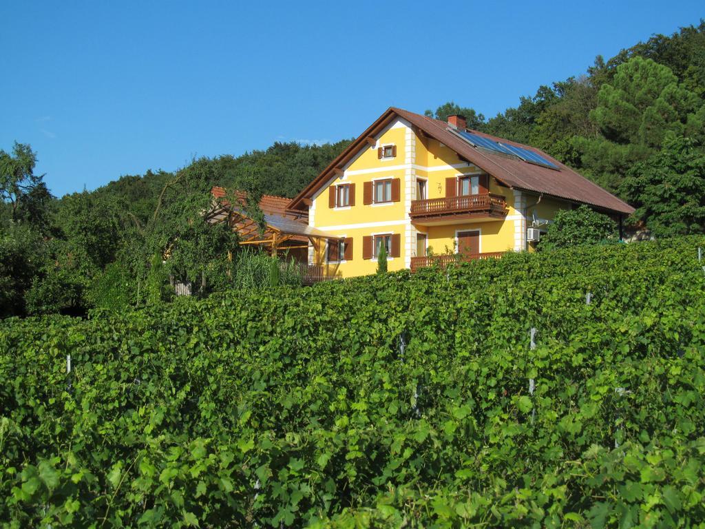 Appartement Weingut Schoberhof Bad Gleichenberg Exterior photo