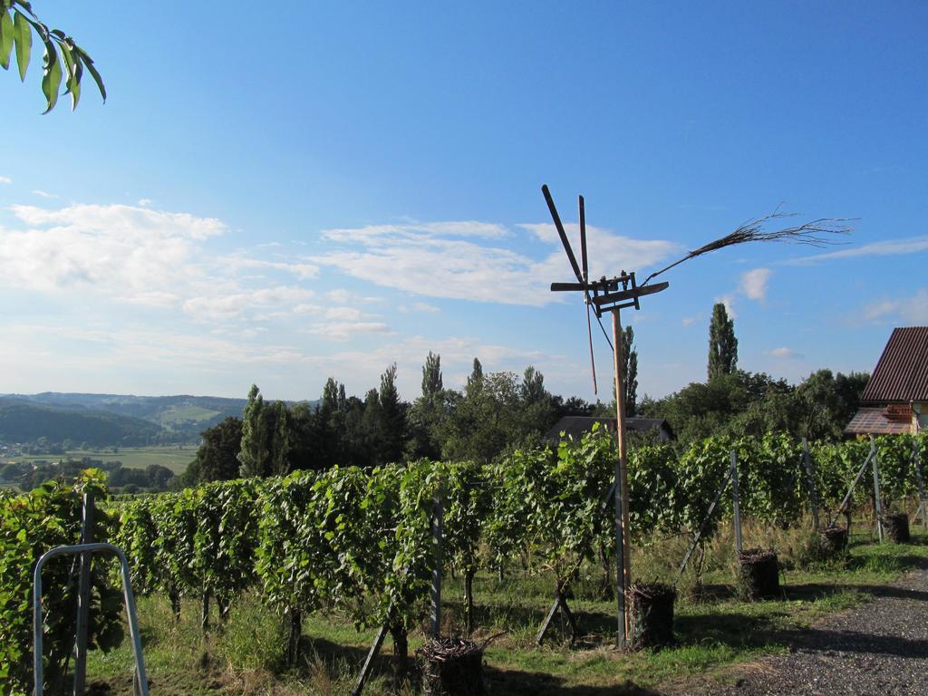 Appartement Weingut Schoberhof Bad Gleichenberg Exterior photo